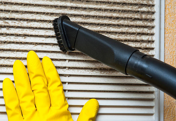 Best Affordable Duct Cleaning Services  in Isle Of Palms, SC